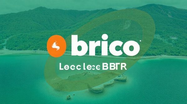 Découvrez pourquoi brico est le leader btp à la réunion